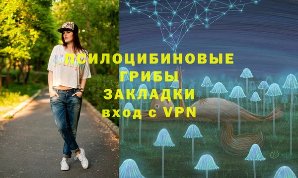 МДПВ Богородицк
