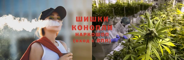 МДПВ Богородицк