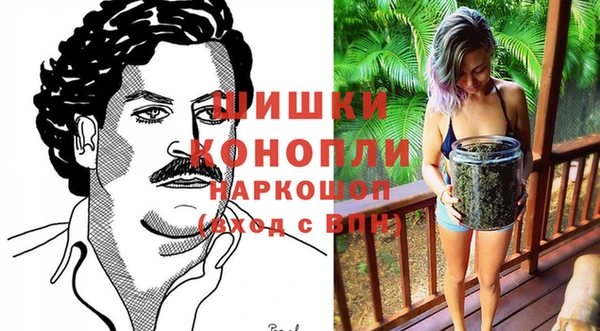 МДПВ Богородицк