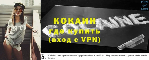 спайс Богданович