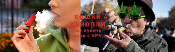 спайс Богданович