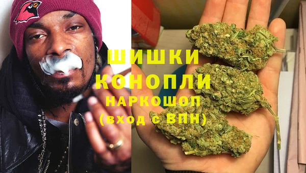 спайс Богданович