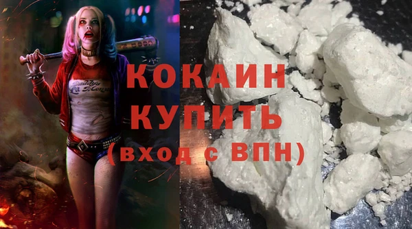 спайс Богданович