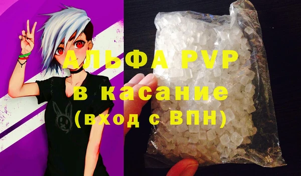 спайс Богданович