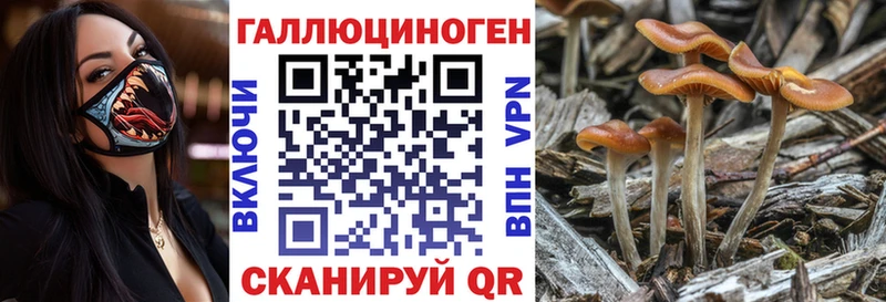 наркошоп  Комсомольск  Галлюциногенные грибы Psilocybine cubensis 
